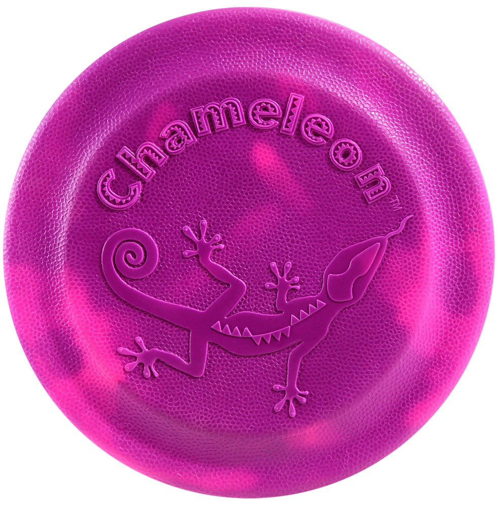  -  -   "Chameleon Changing Colorz" - 