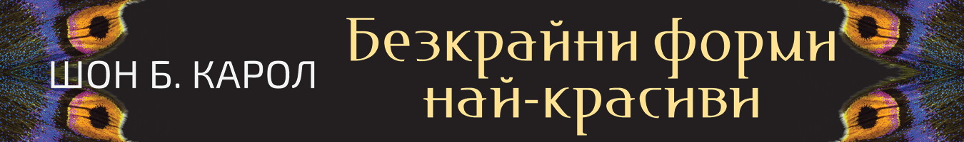 ��������� ����� ���-������� - ��� �. �����