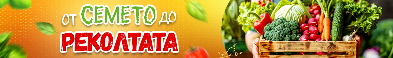 ����� �� ������������� �������