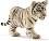������� �� ���� ������� - Schleich - �� ������� Wild Life - ������
