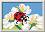    - Ravensburger -        CreArt -  