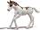 ������� �� ����� ����� - Schleich - �� ������� Horse Club - ������