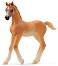     - Schleich -      - 