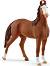     - Schleich -   Horse Club - 