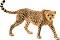    Schleich -   Wild Life - 
