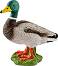 Фигурка на зеленоглав паток Schleich - От серията Животните от фермата - фигура