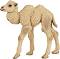 Двугърба камила - бебе - Фигура от серията "Диви животни" - 