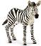 ����� - ���� - ������ �� ������� Wild Life - ������