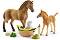 ������� �� �� ���� ��������� �� ���� Schleich - � ��������� �� ������� Horse Club - ������
