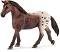  -   Horse Club - 