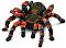Фигурка на паяк тарантула Schleich - От серията Животни от дивия свят - 