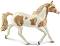     Schleich -      - 