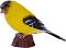      - Mojo -   Wildlife - 