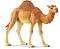 Едногърба камила - Фигурка от серията "Светът на дивите животни" - 