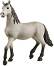    -   Horse Club - 