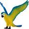      - Mojo -   Wildlife - 