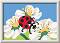    - Ravensburger -        CreArt -  