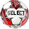�������� ����� Select Diamond FIFA Basic �5 - � �������� 22 cm - �����