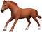 ������� �� ��������� ����������� ������ - Schleich - �� ������� Horse Club - ������