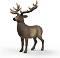 ������� �� ������ - Schleich - �� ������� Wild Life - ������
