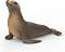 ������� �� ������ ��� - Schleich - �� ������� Wild Life - ������