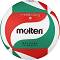 ���������� ����� Molten V5M4500 - ������ 5 - �����
