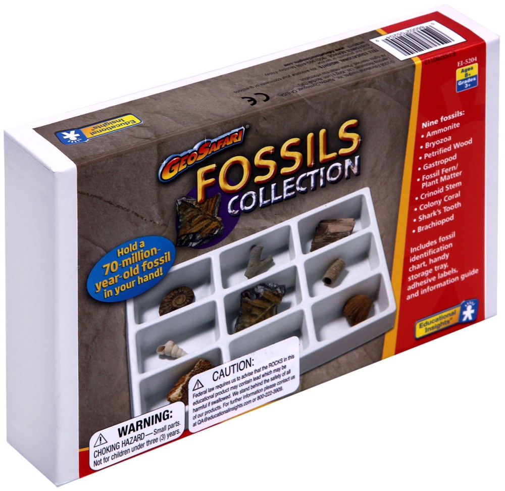 Вкаменелости Learning Resources - От серията Geo Safari - играчка