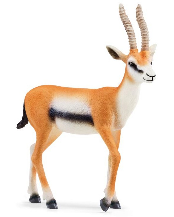     - Schleich -       - 