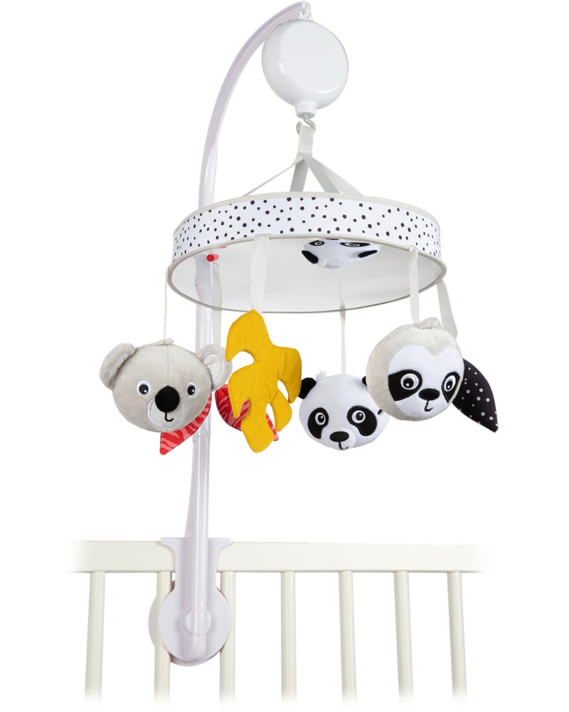 ���������� �� ����� Canpol babies - � ��������� ������ � Bluetooth, �� ������� BabiesBoo - �������
