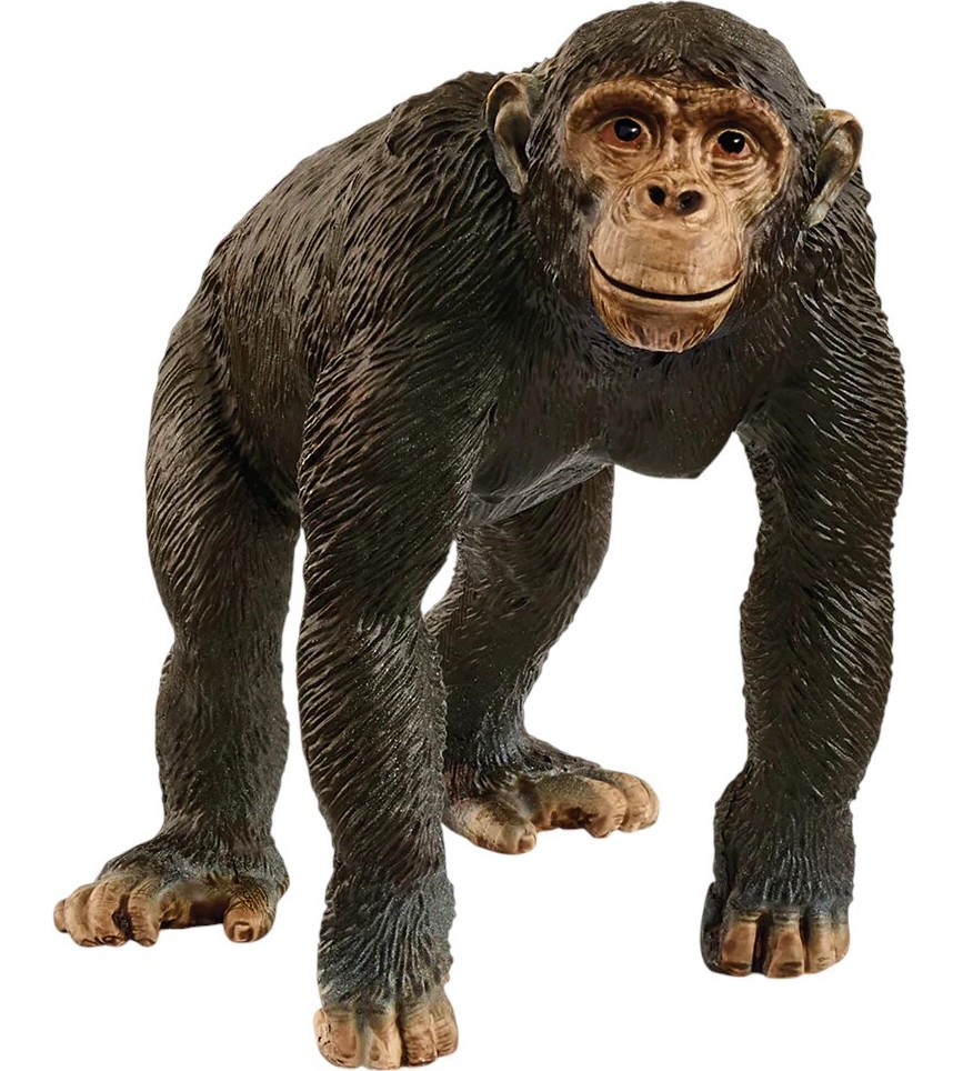    - Schleich -   Wild Life - 