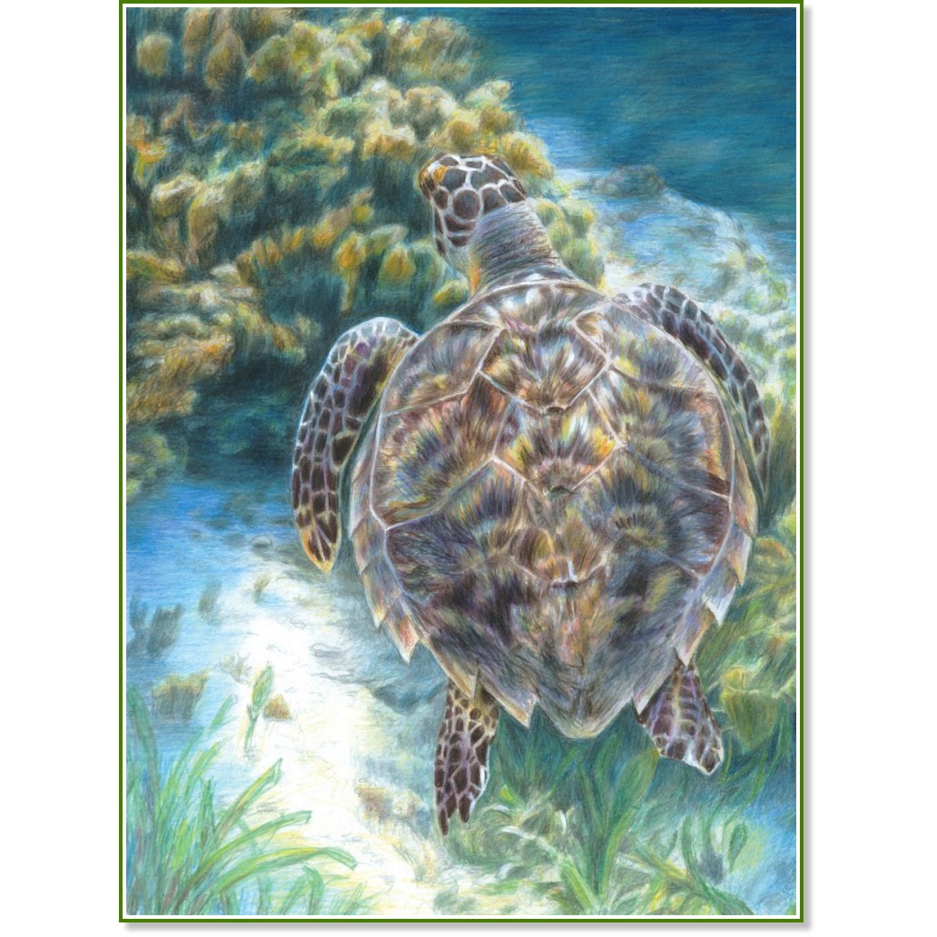 ��������� ��� ������� - ������ ���������� - ��������� �������� � ������ ������ - �������