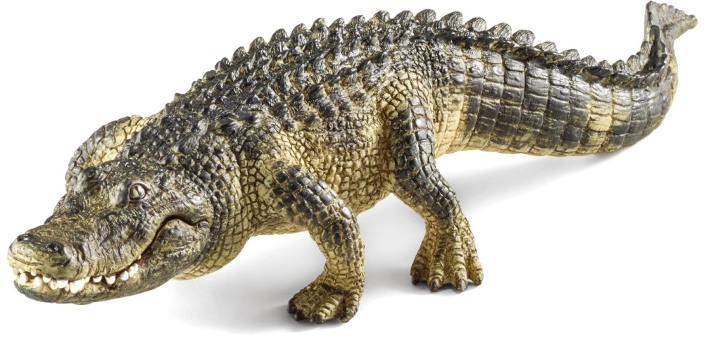    Schleich -   Wild Life - 