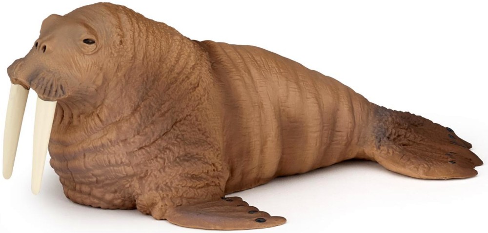 ���� - ������ �� ������� "������ �������" - ������