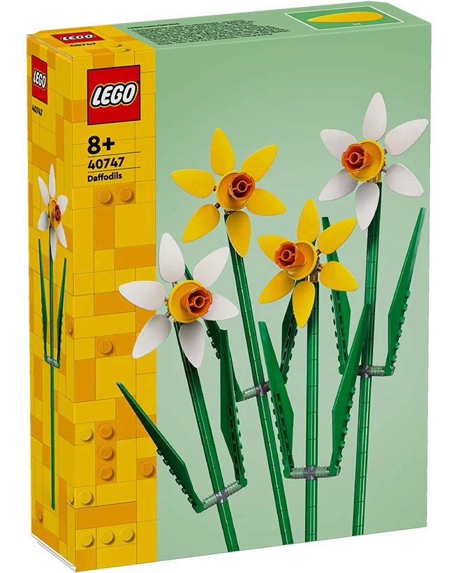 LEGO Iconic -  -   - 
