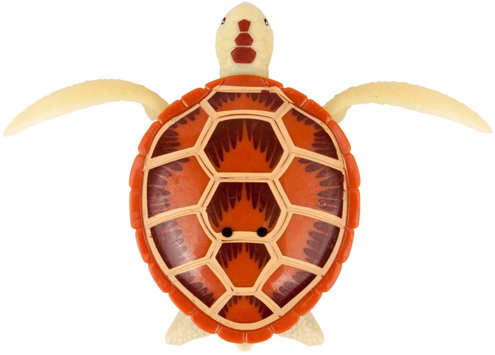 ������� ���������� - ������� �� ������� "Robo Turtle" - �������