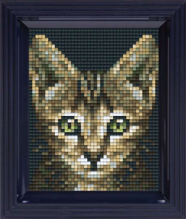     - Pixelhobby -   -  