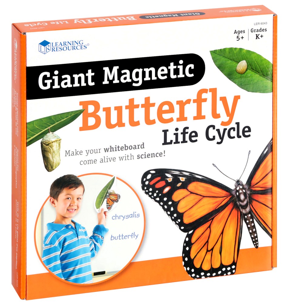      Learning Resources -      -  
