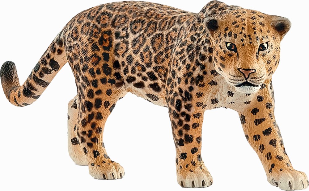  -    Wild Life - 