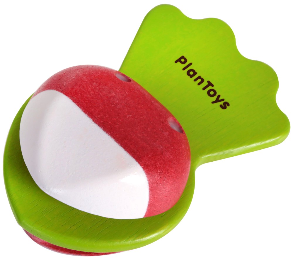   PlanToys -  -    - 