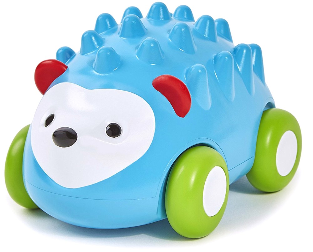 ��������� - ������� � pull-back ��������� �� ������� "Zoo" - �������