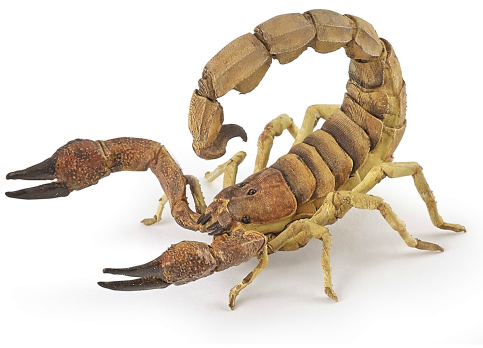 Фигурка на скорпион Papo - От серията Диви животни - фигура