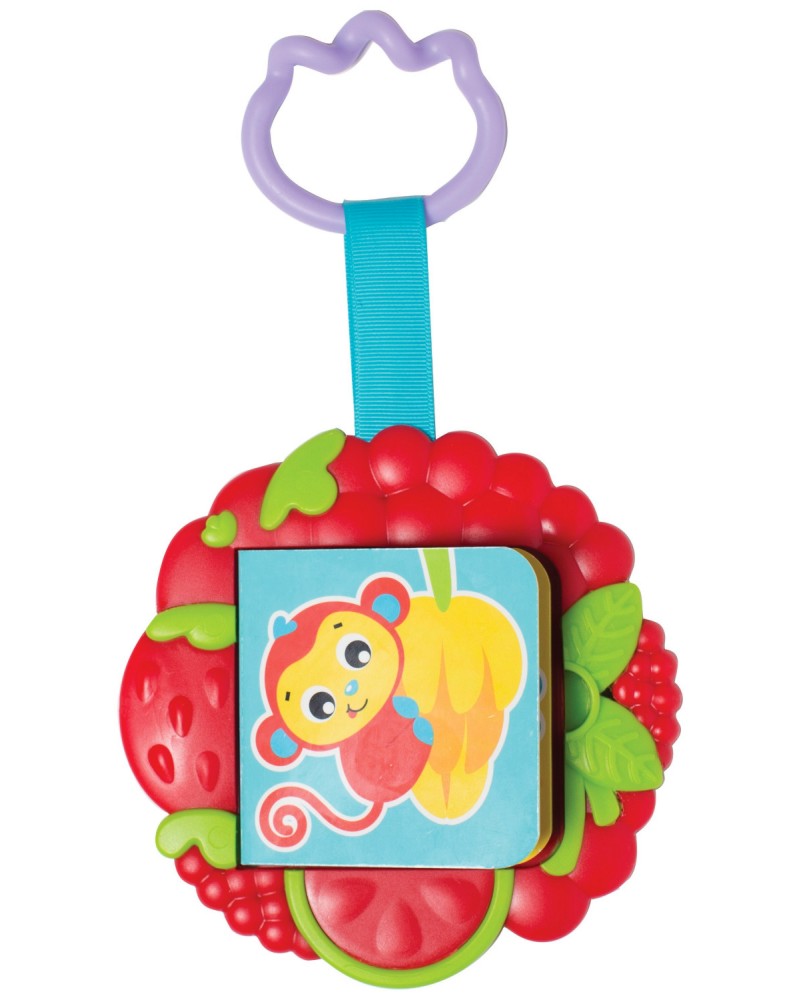 Flip & Chew Teether Book - ������ � �������� �� �������� - �������