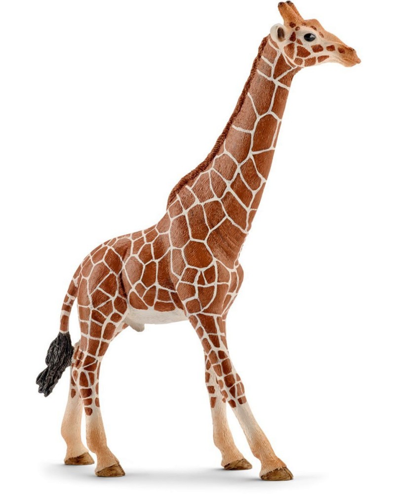      Schleich -   Wild Life - 