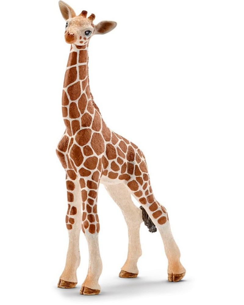      Schleich -   Wild Life - 