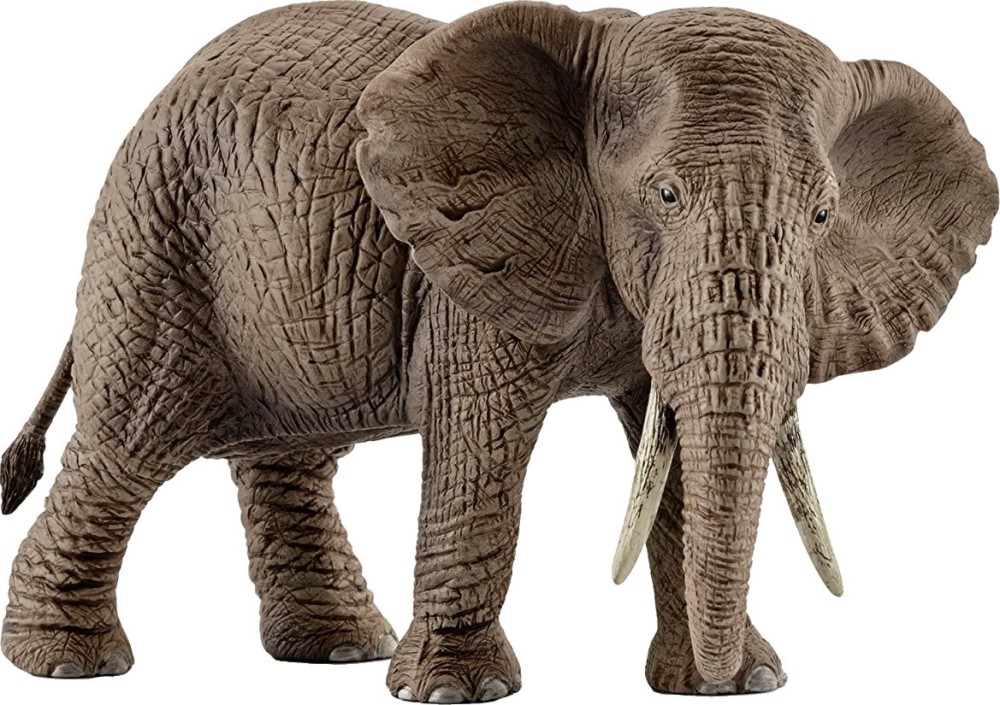      Schleich -   Wild Life - 
