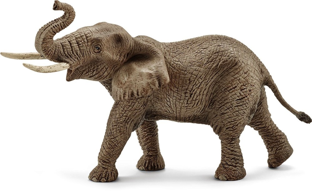      Schleich -   Wild Life - 