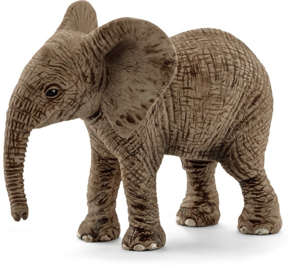      Schleich -   Wild Life - 