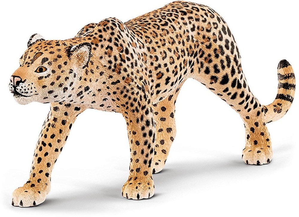   -    Wild Life - 