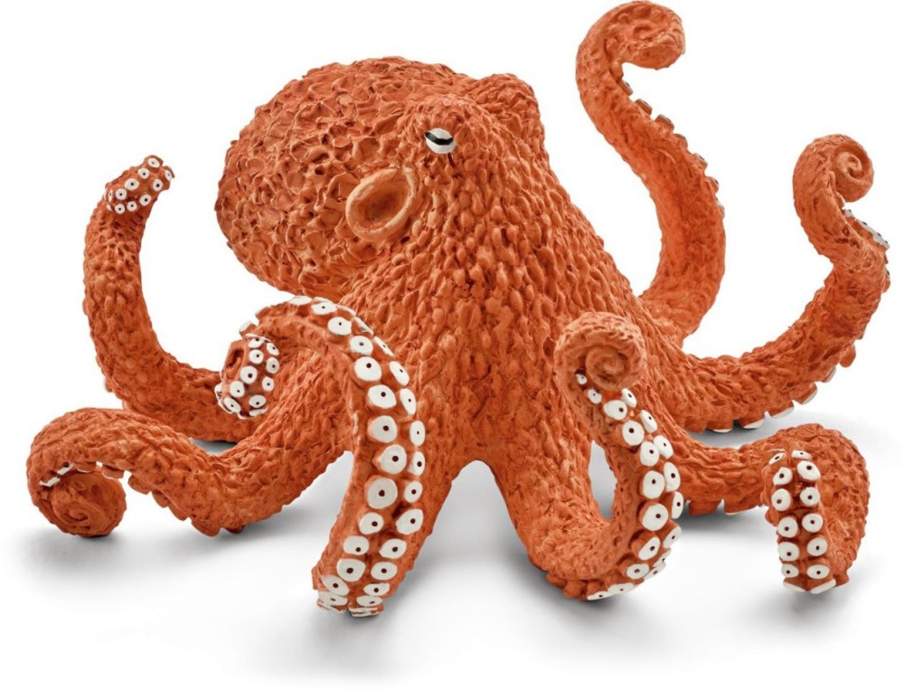 ������� - ������ �� ������� Wild Life - ������