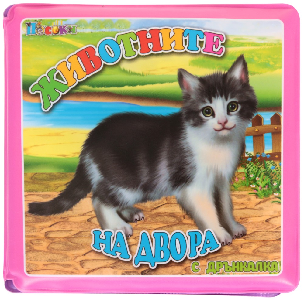 ������ �� ���� � ��������� - ��������� �� ����� - �������